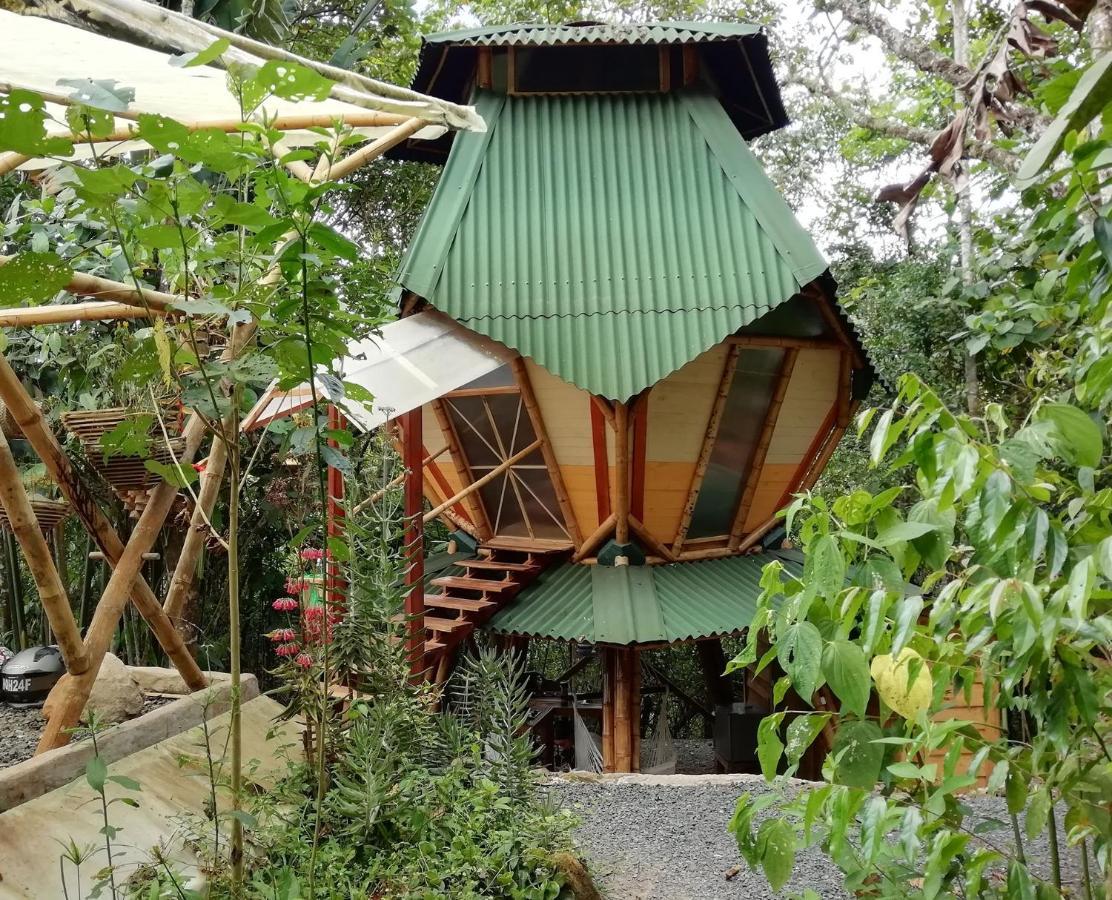 EcoLodge Kasaguadua Salento Bagian luar foto