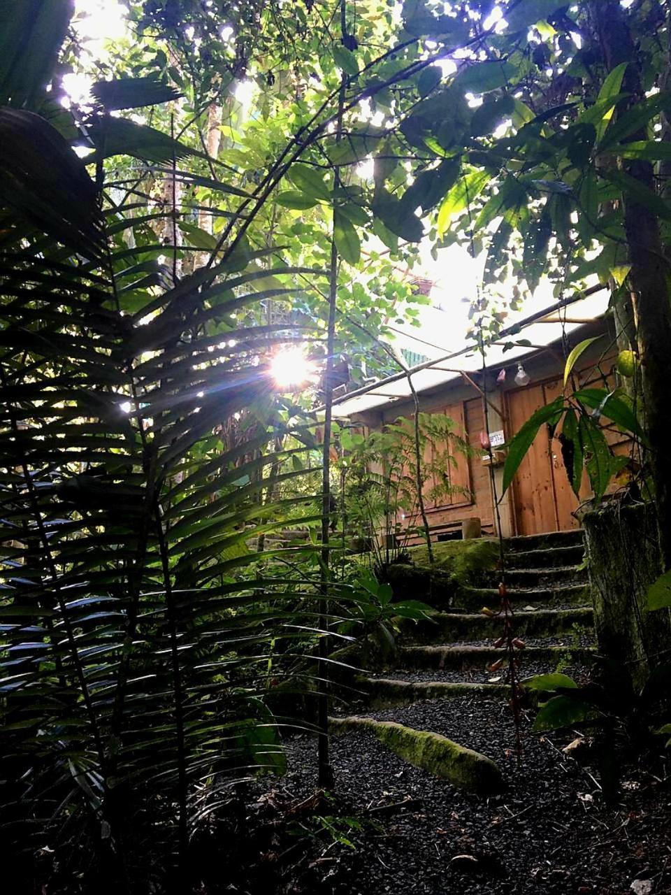 EcoLodge Kasaguadua Salento Bagian luar foto