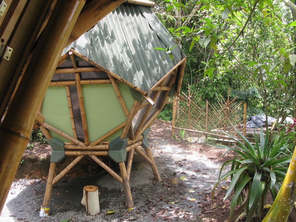 EcoLodge Kasaguadua Salento Bagian luar foto