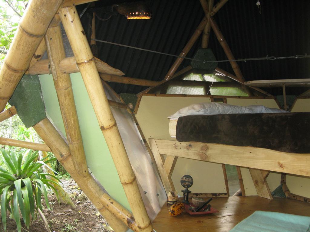 EcoLodge Kasaguadua Salento Ruang foto